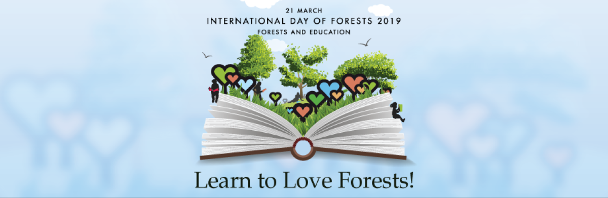 International Day of Forests 2019
