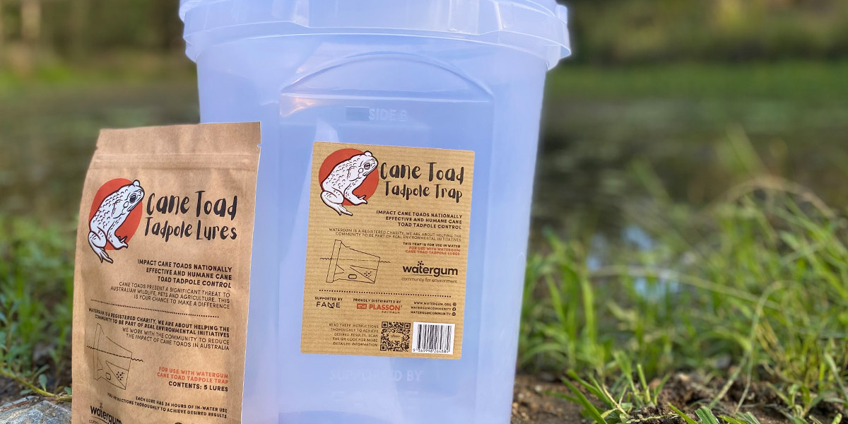 Cane Toad Tadpole Trap – Watergum Community